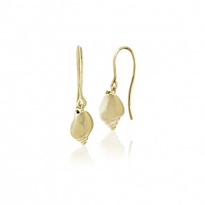 Gold shell  Earrings